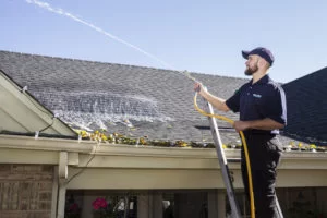 Roof washing in St Louis, MO